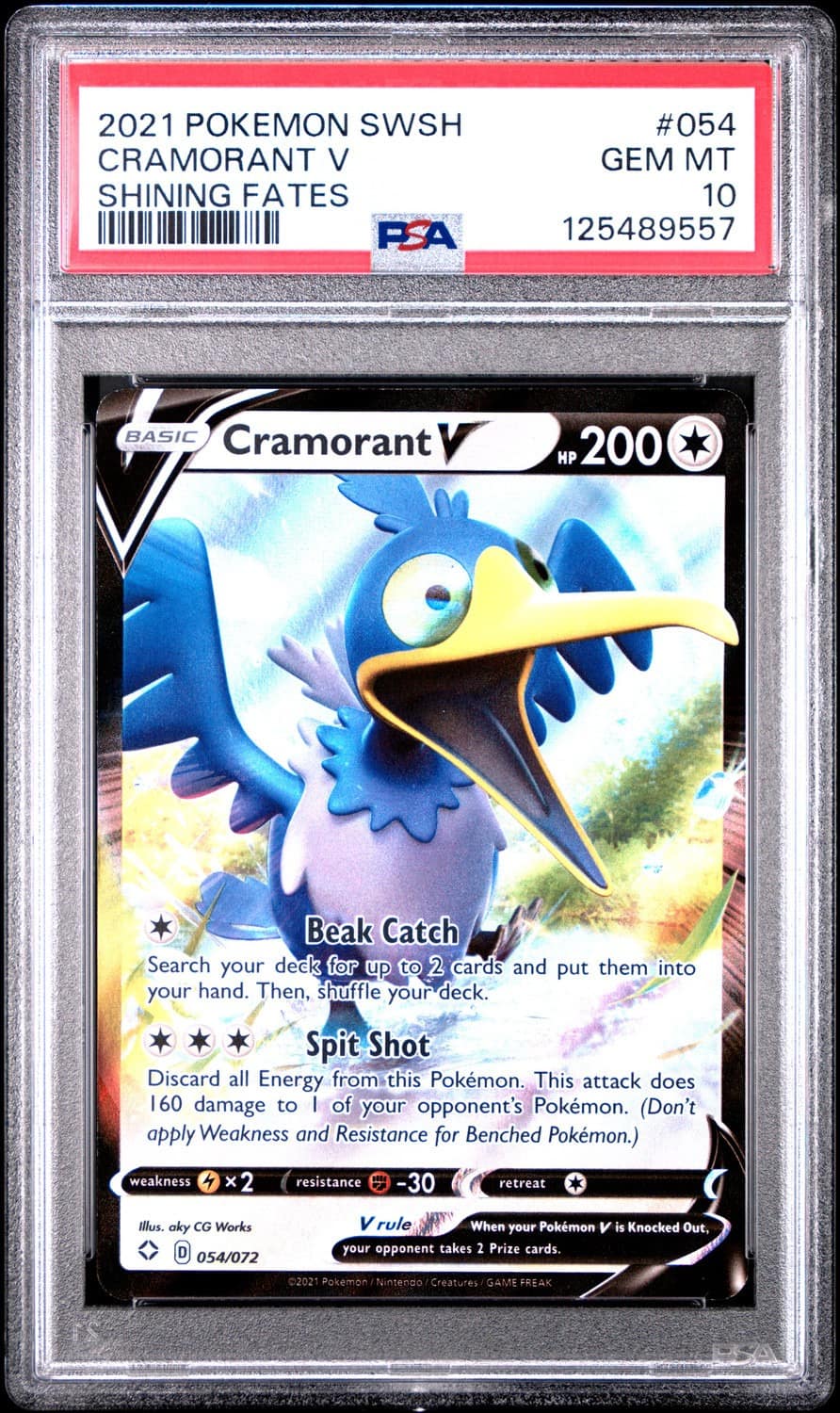 Cramorant V