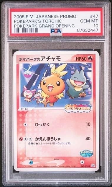 Pokepark'S Torchic