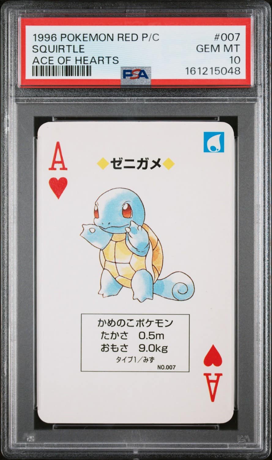 Squirtle