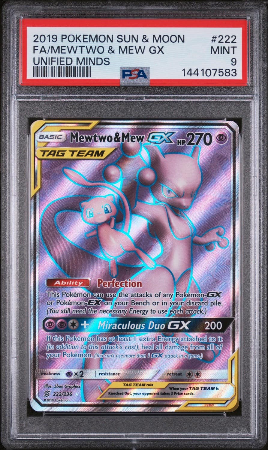 Mewtwo & Mew Gx