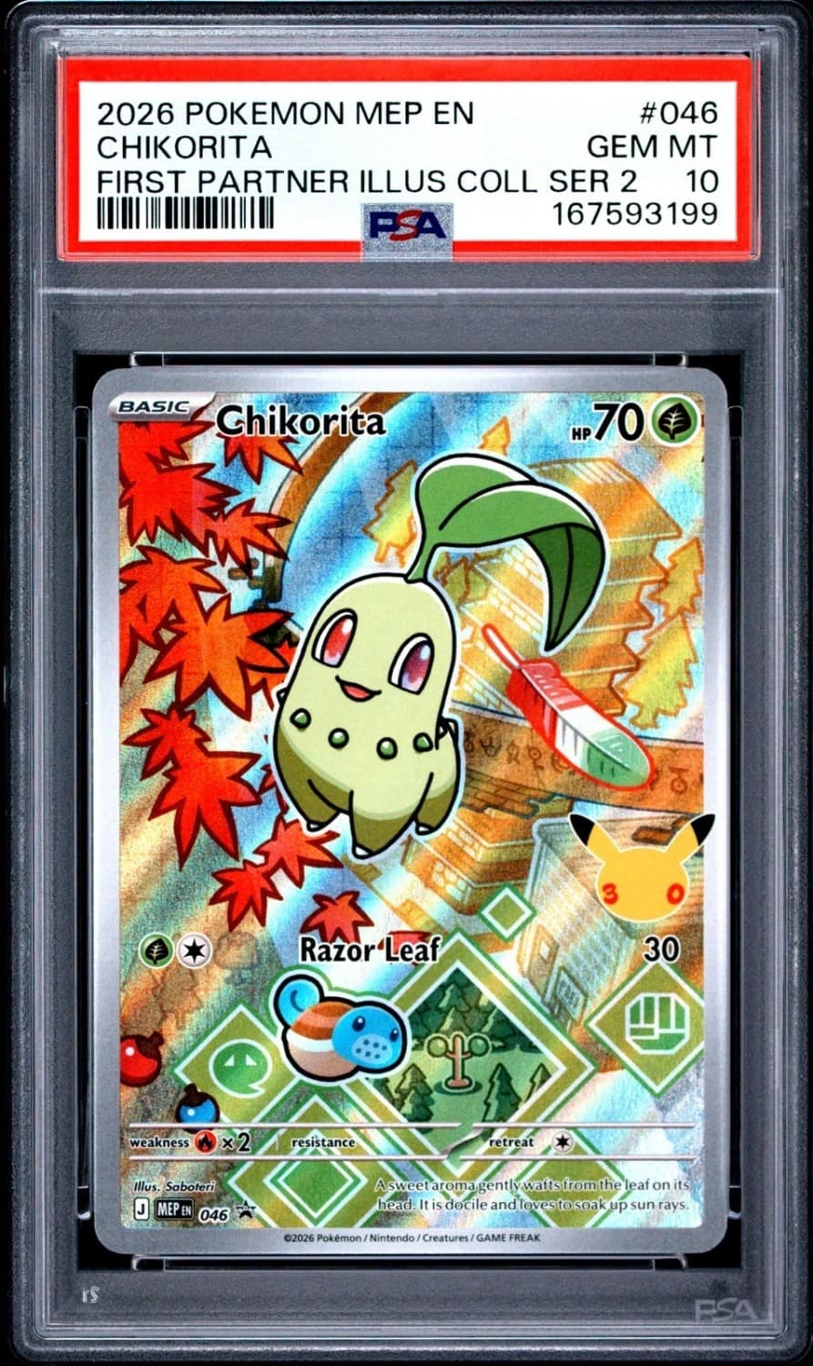 Chikorita