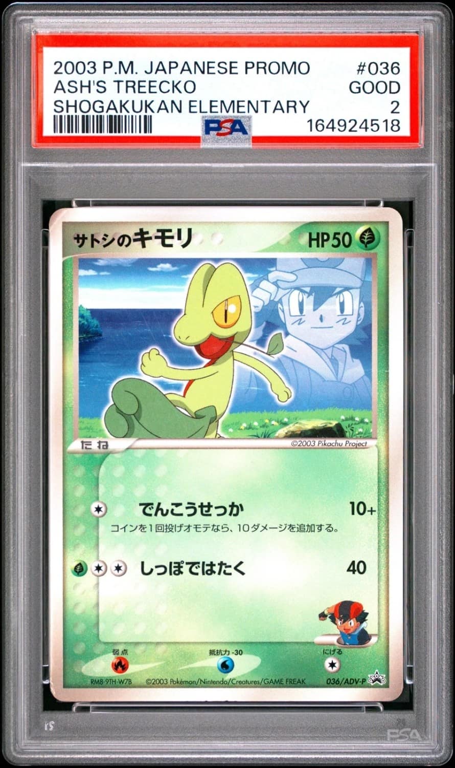 Ash'S Treecko