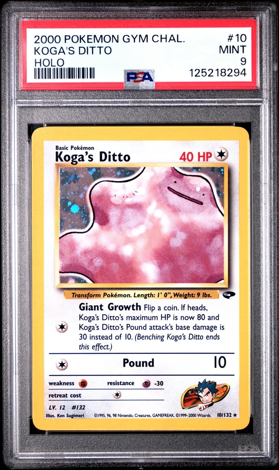 Koga'S Ditto