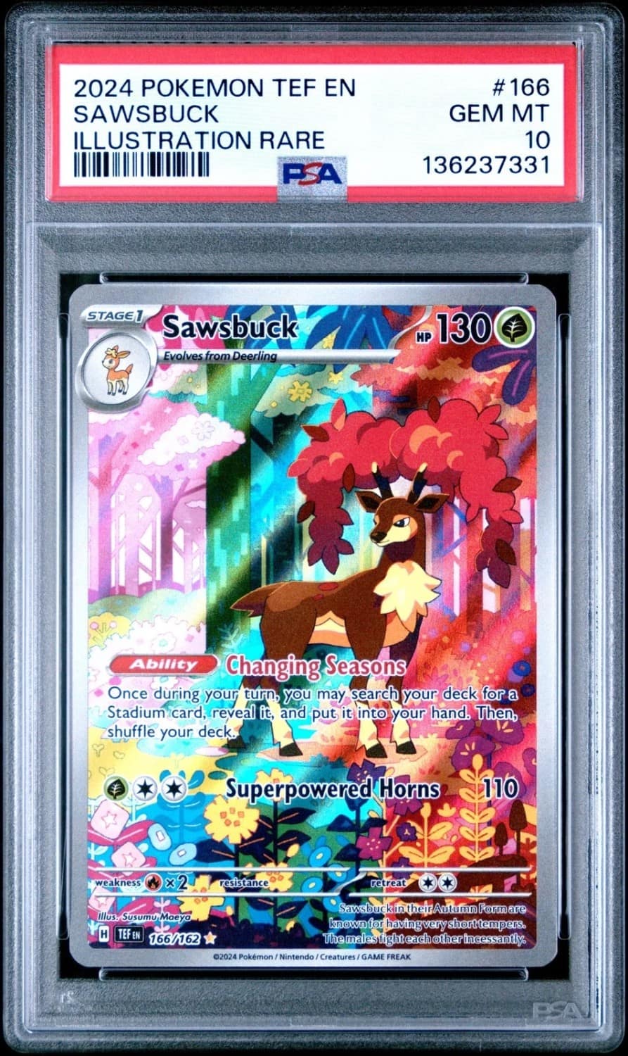 Sawsbuck