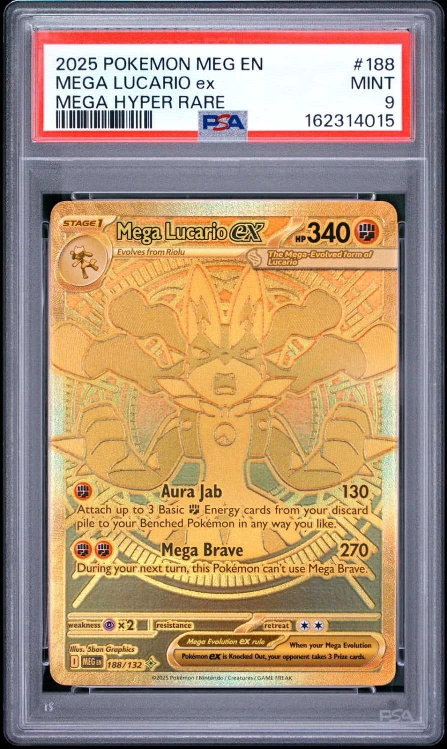 Mega Lucario Ex