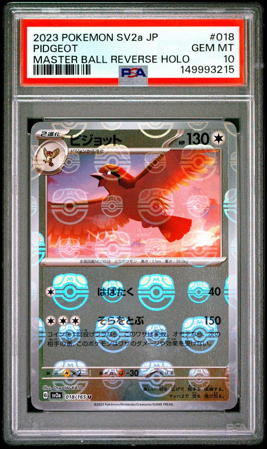 Pidgeot