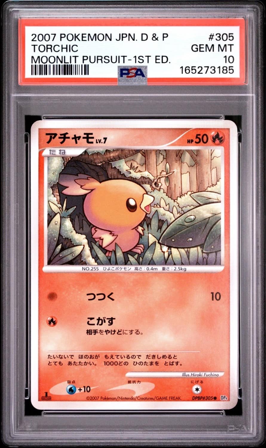 Torchic