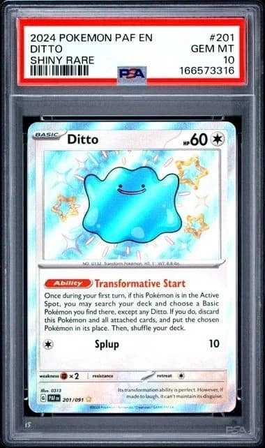 Ditto