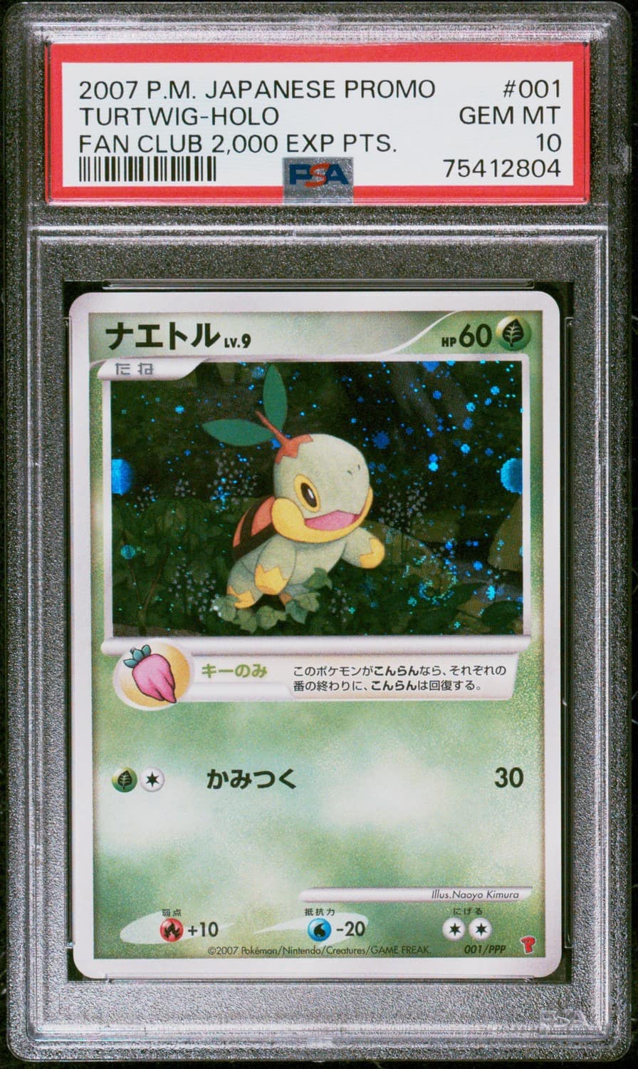 Turtwig