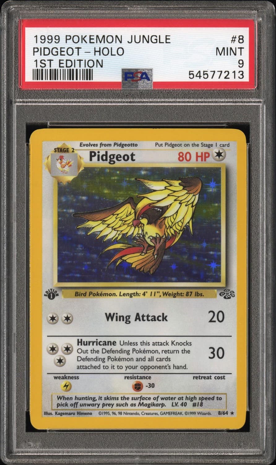 Pidgeot