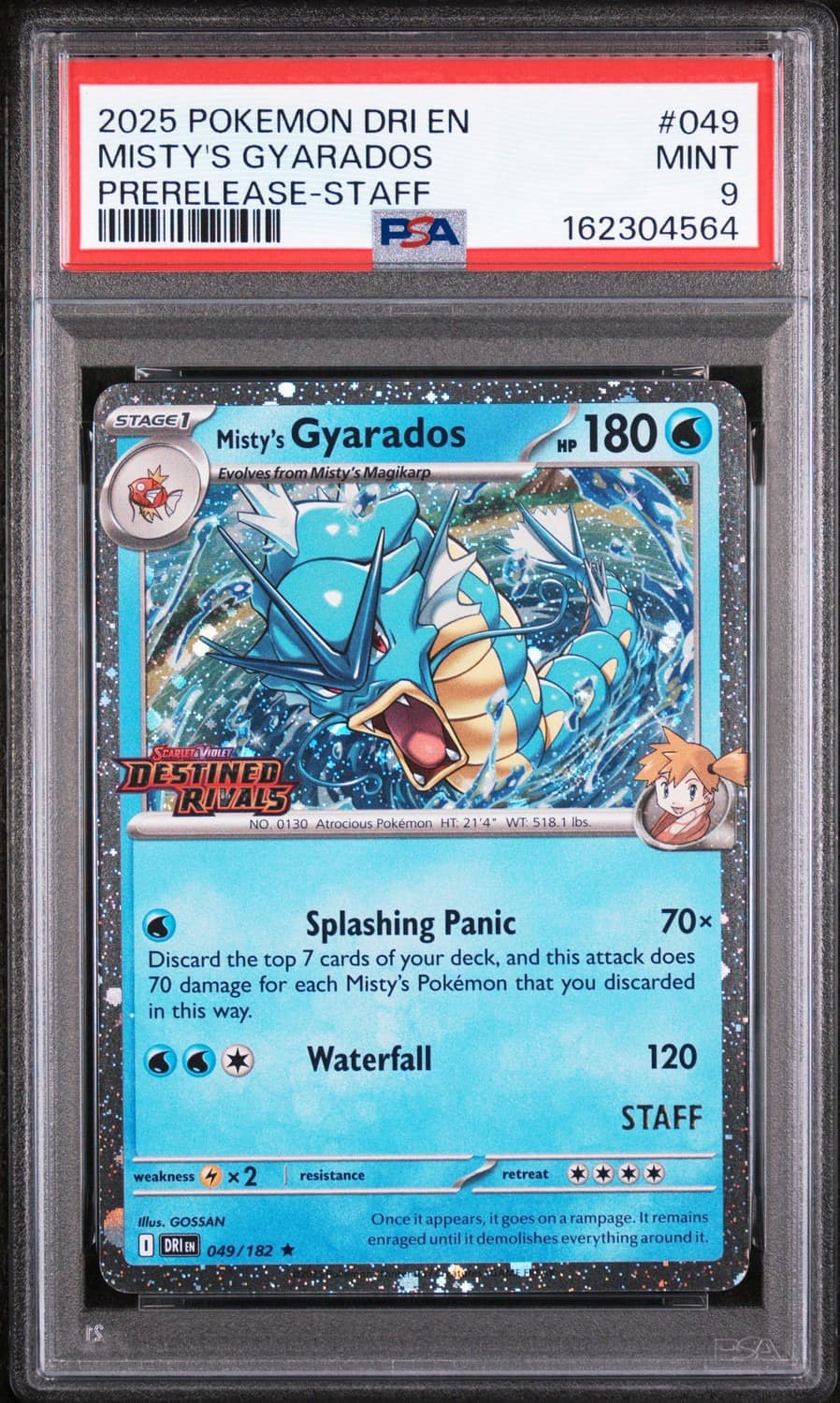 Misty'S Gyarados