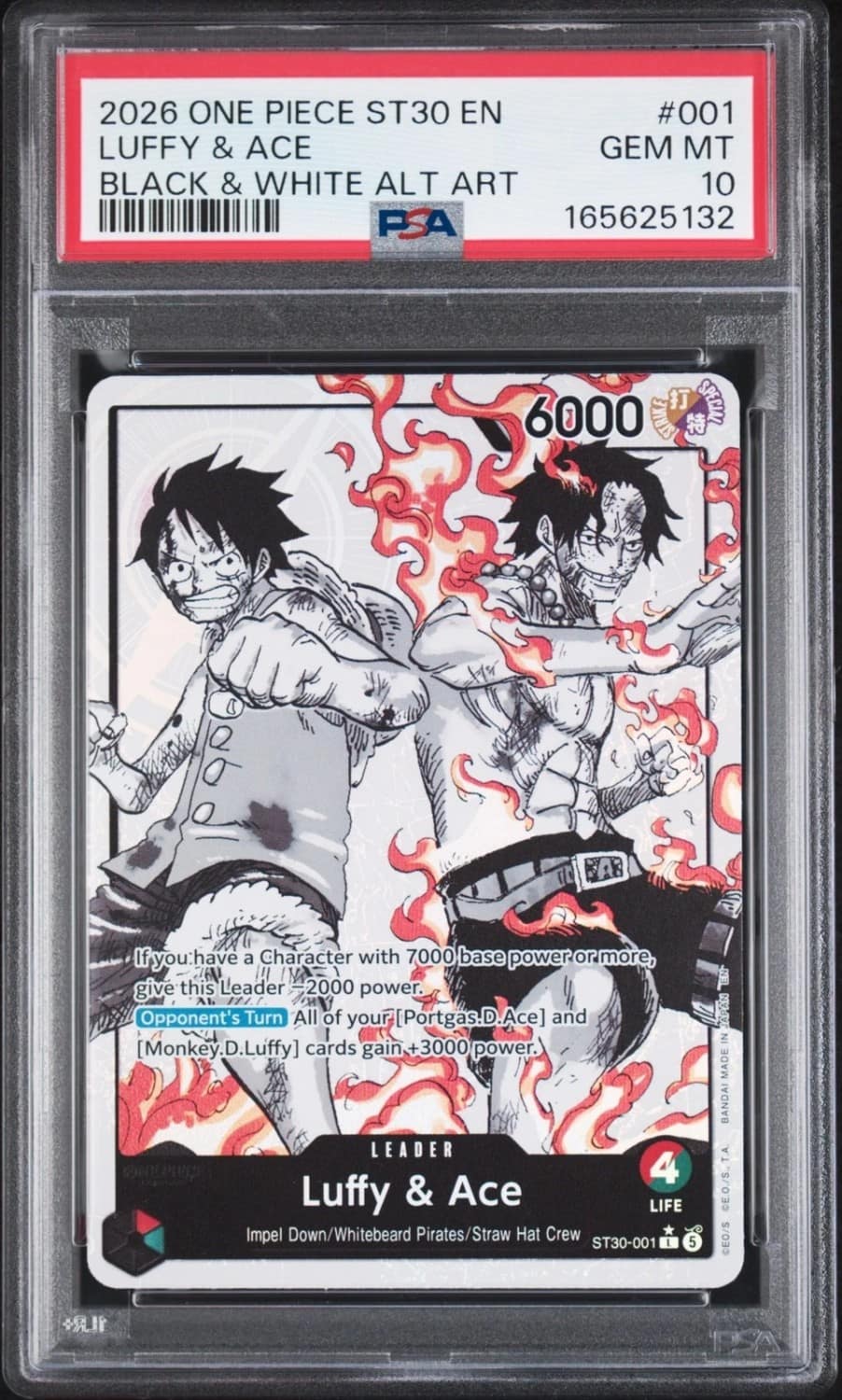 Luffy & Ace