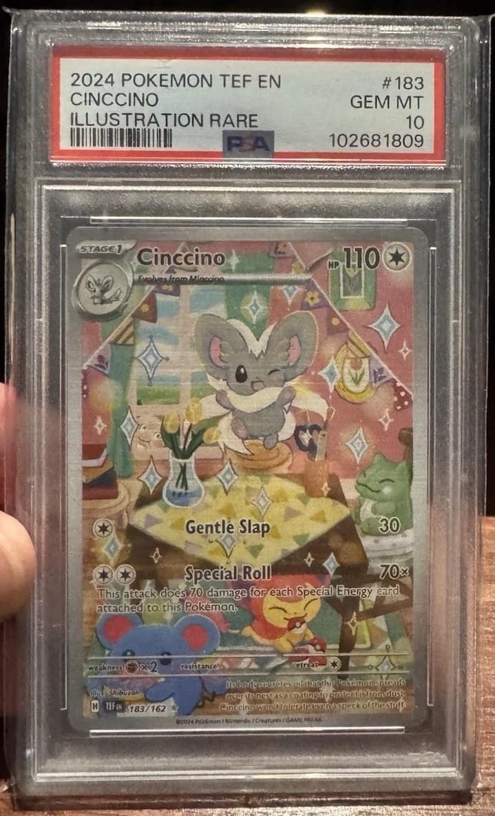 Cinccino
