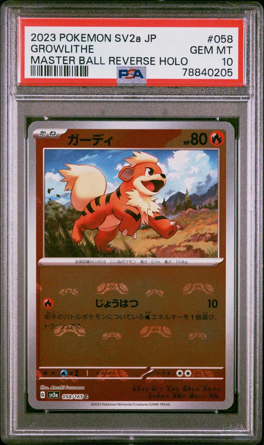 Growlithe