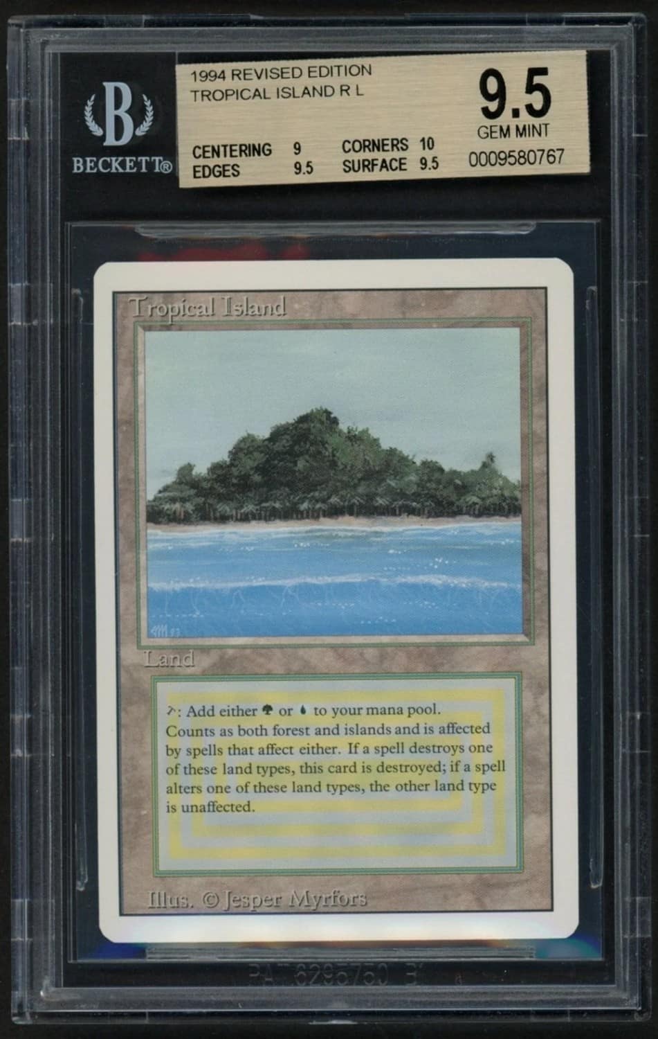 Tropical Island