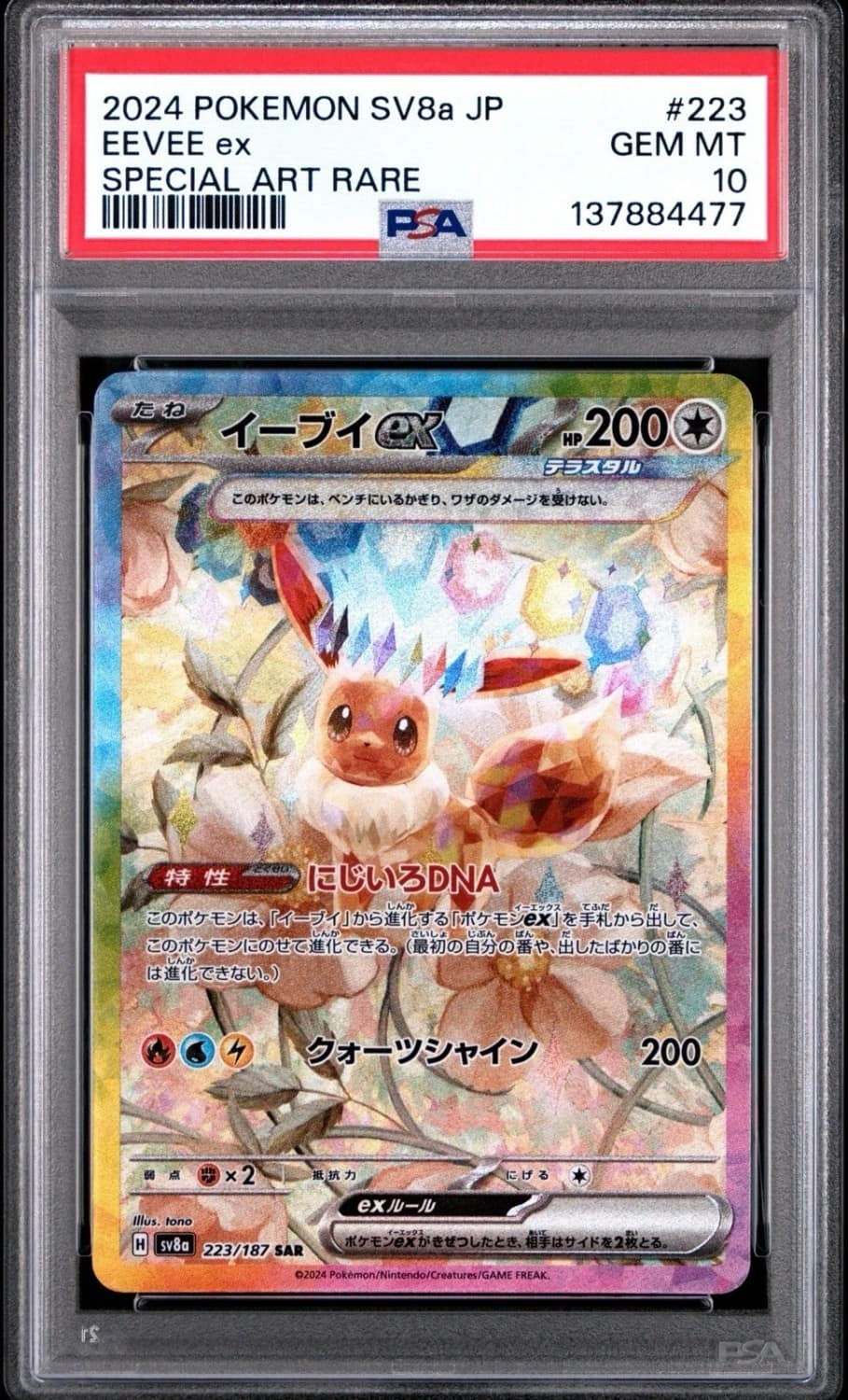 Eevee Ex