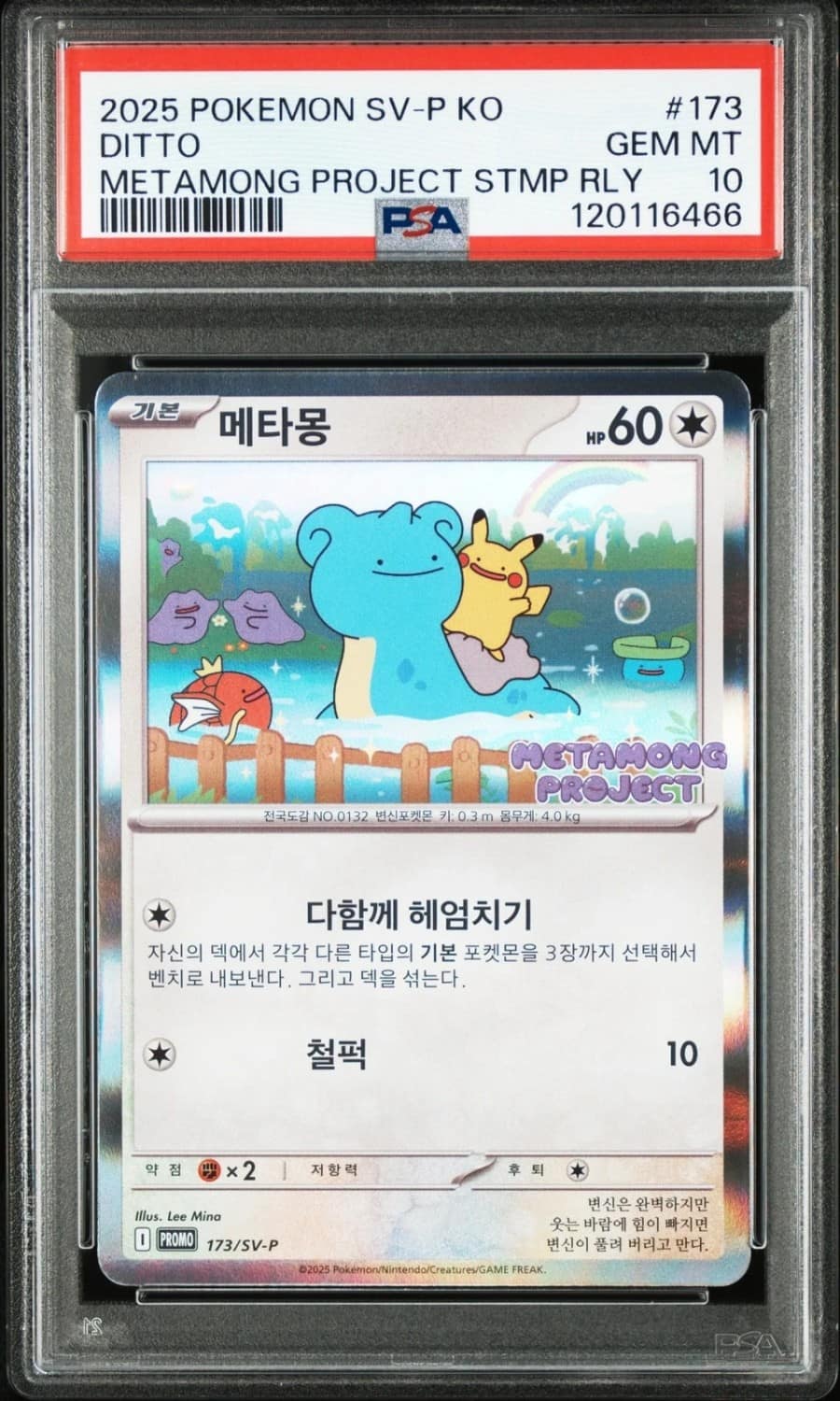 Ditto