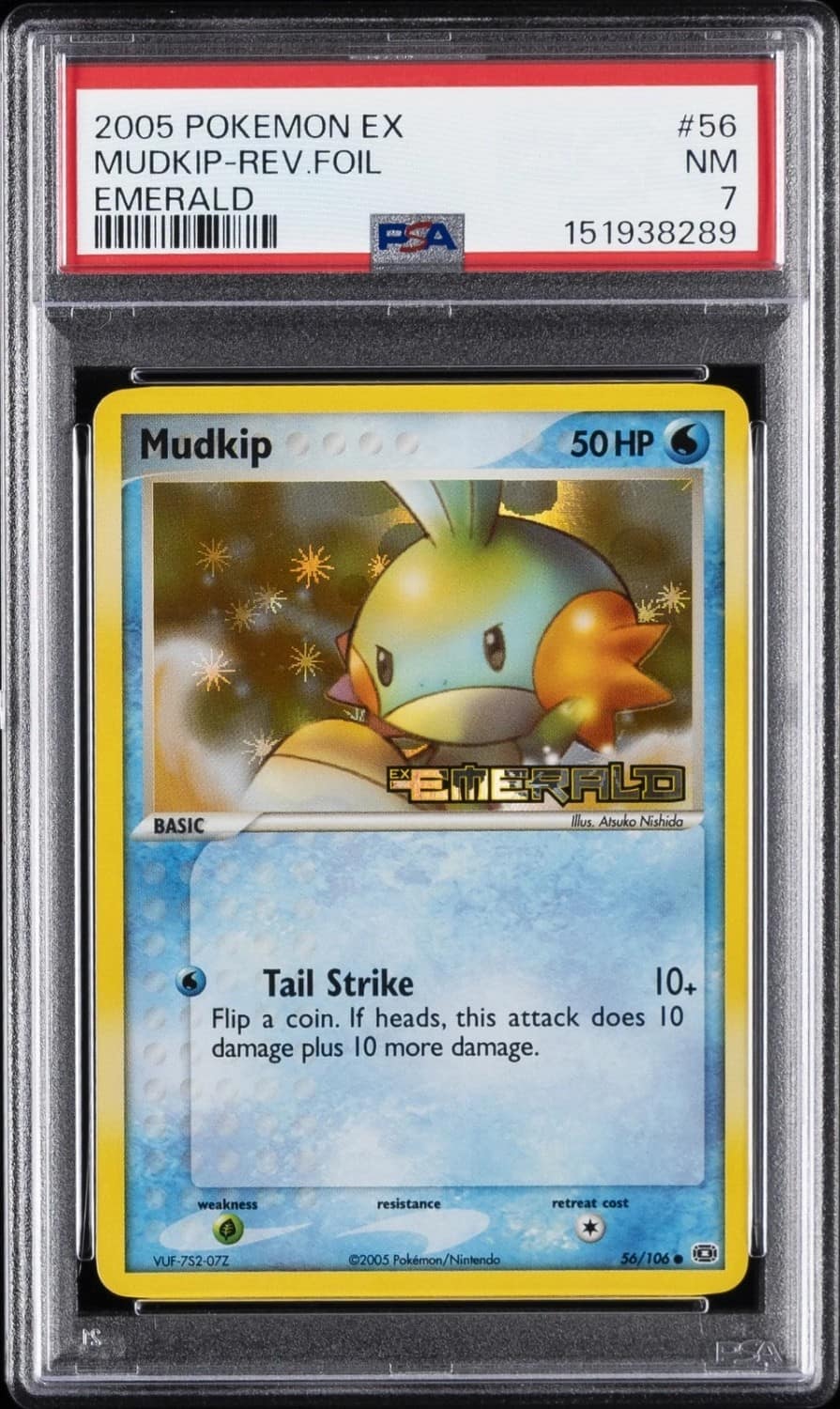 Mudkip