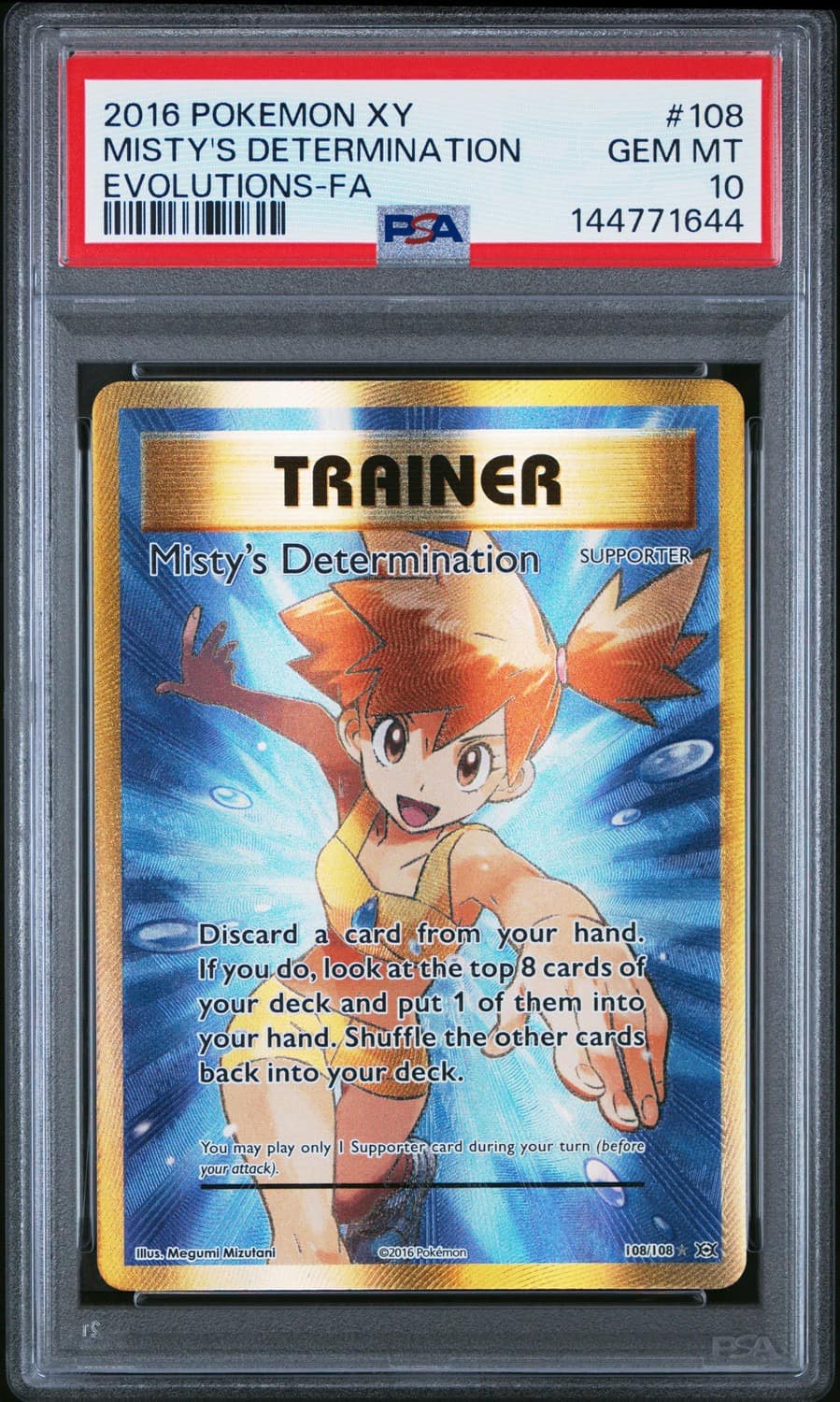 Misty'S Determination