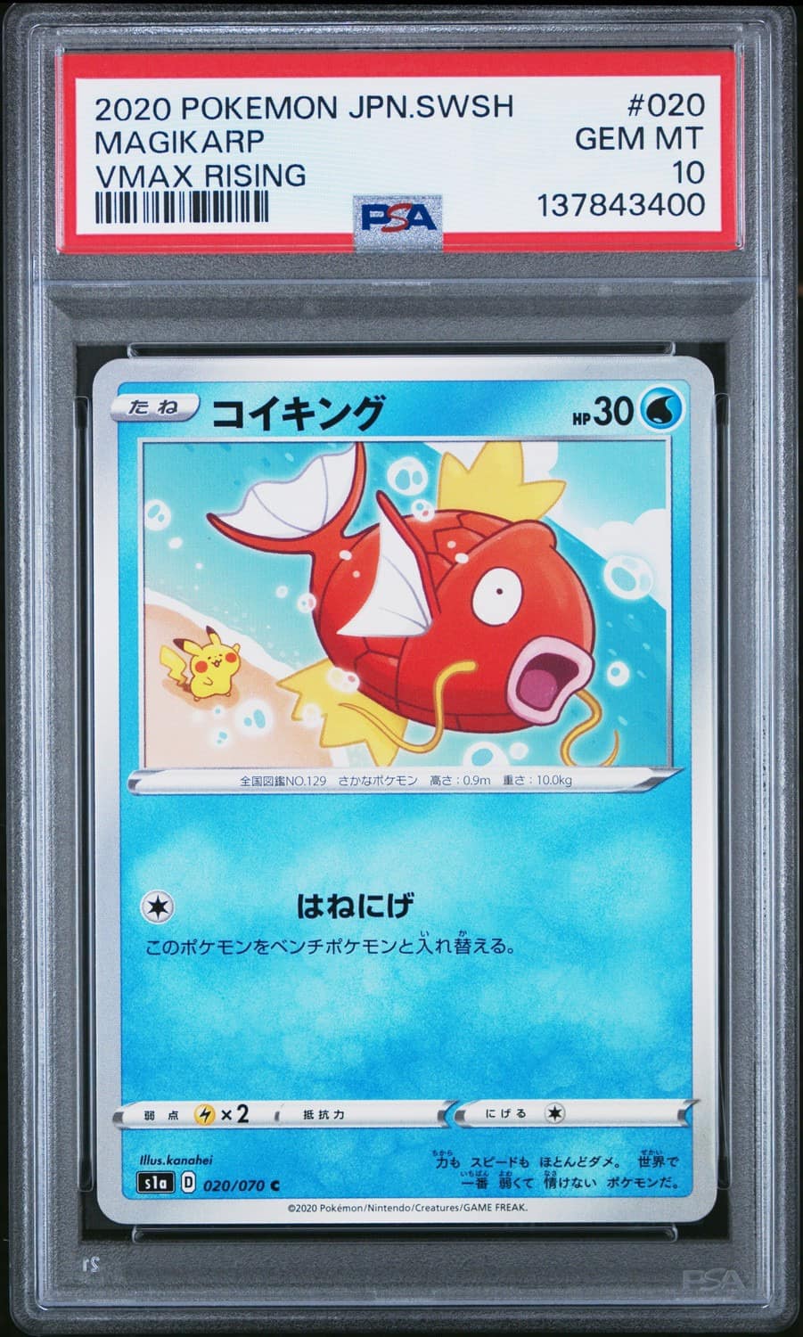Magikarp