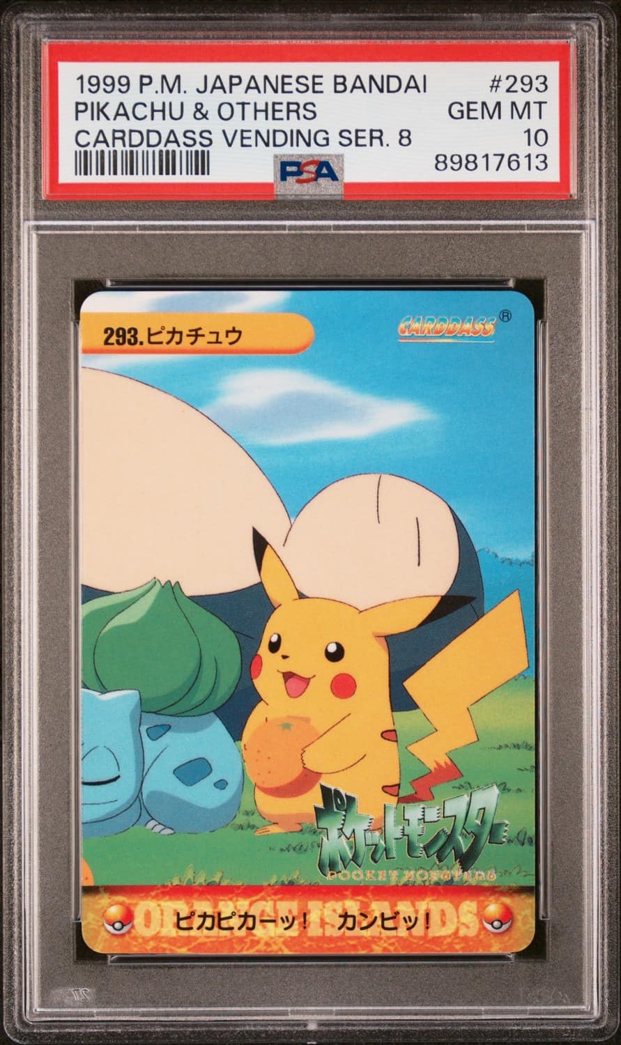 Pikachu & Others