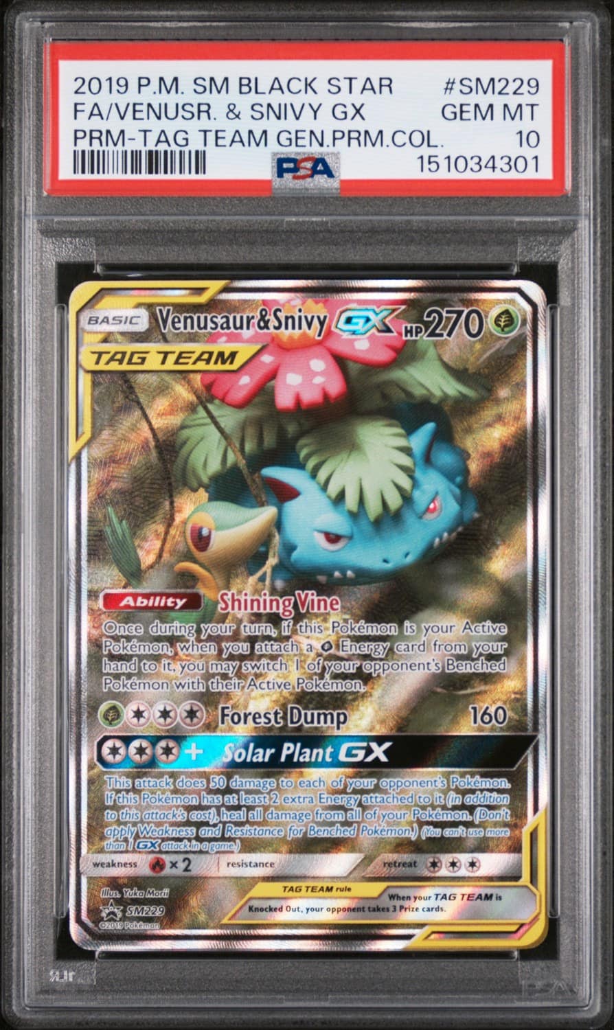 Venusaur & Snivy Gx
