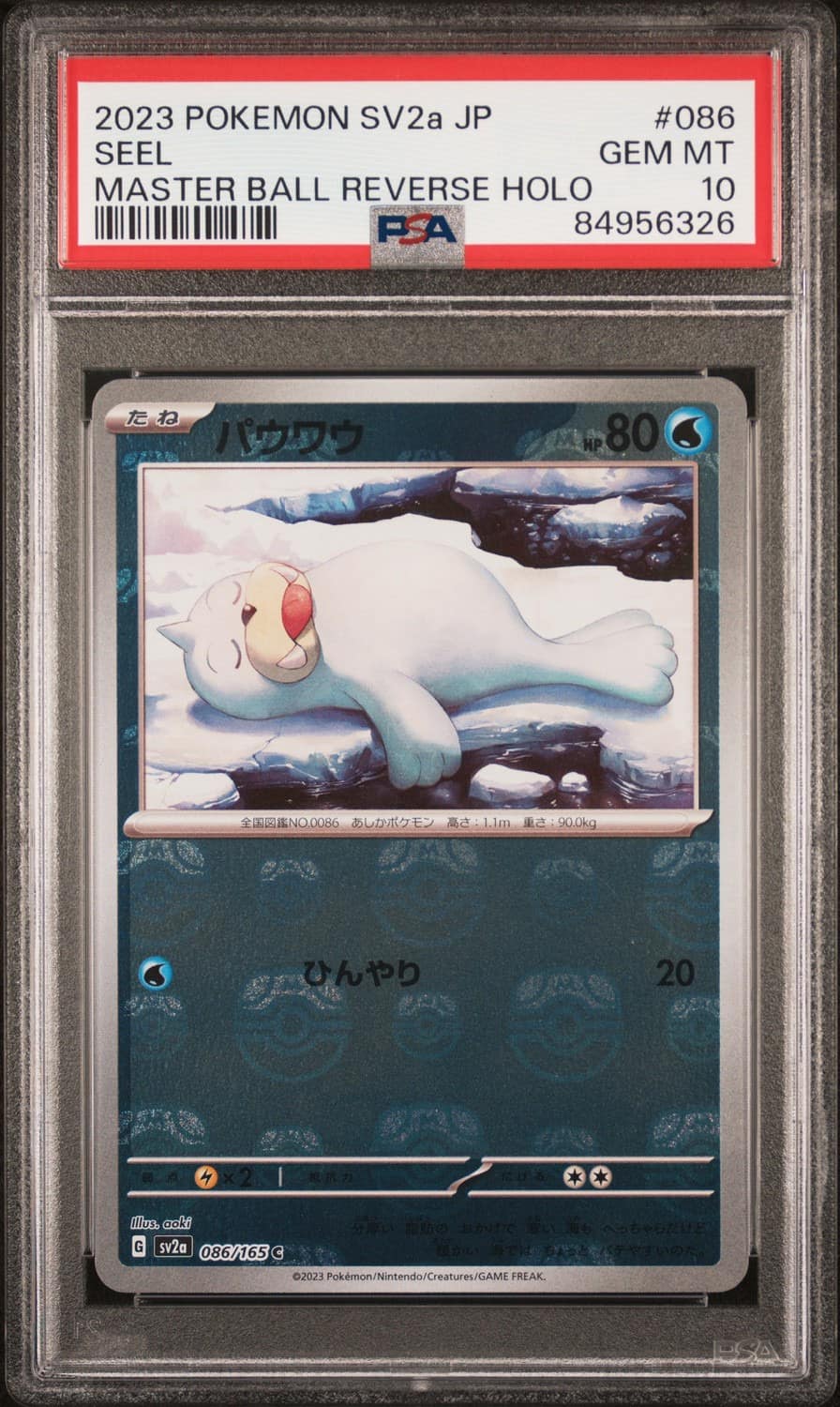 Seel