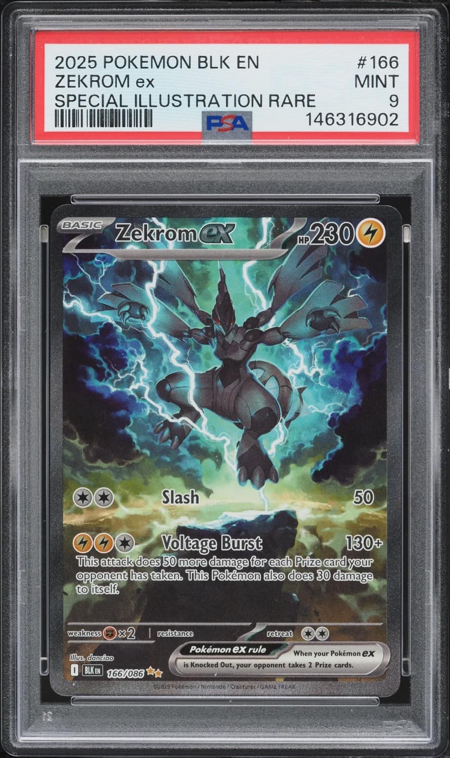 Zekrom Ex