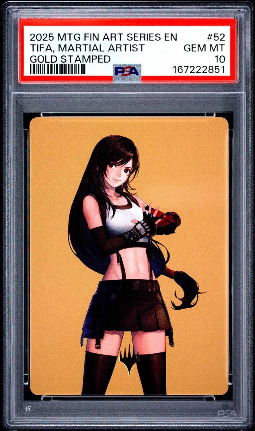 Tifa, Martial Artist