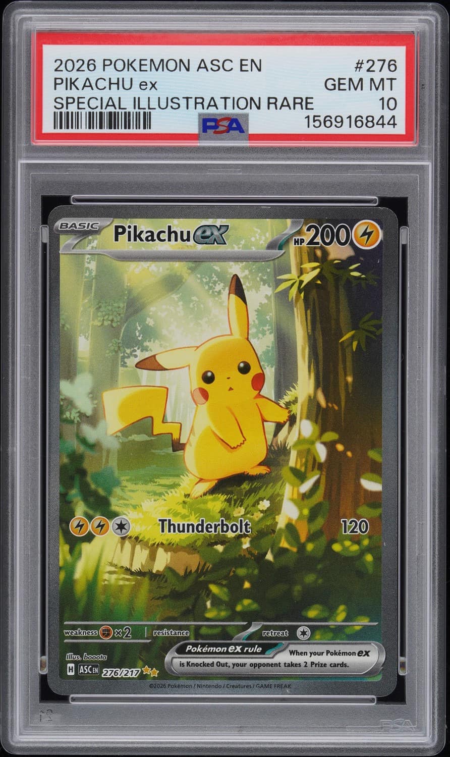 Pikachu Ex