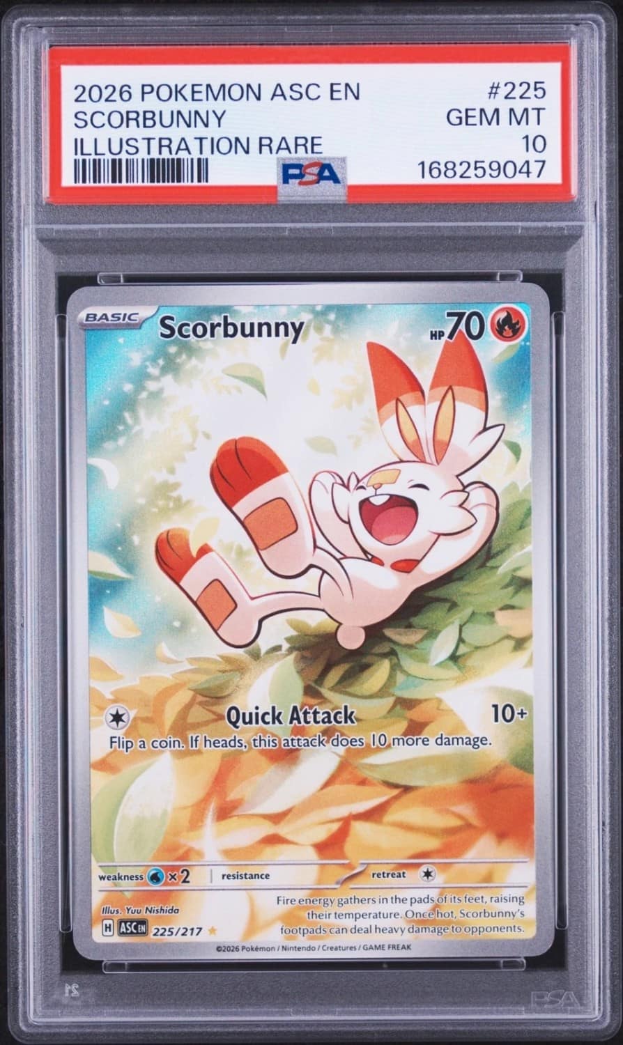 Scorbunny