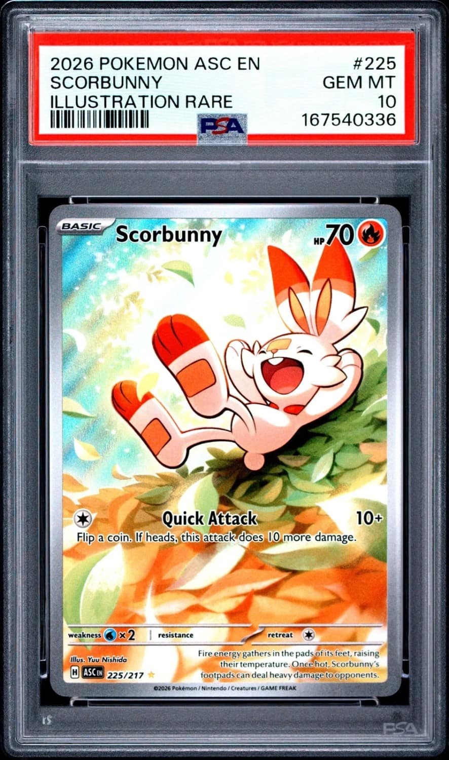 Scorbunny
