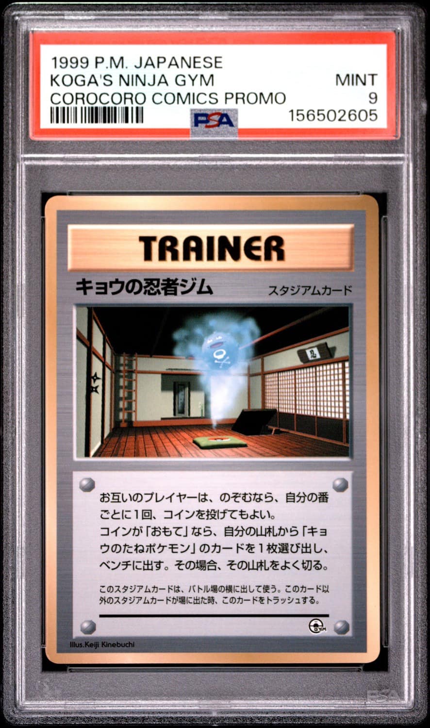 Koga'S Ninja Gym
