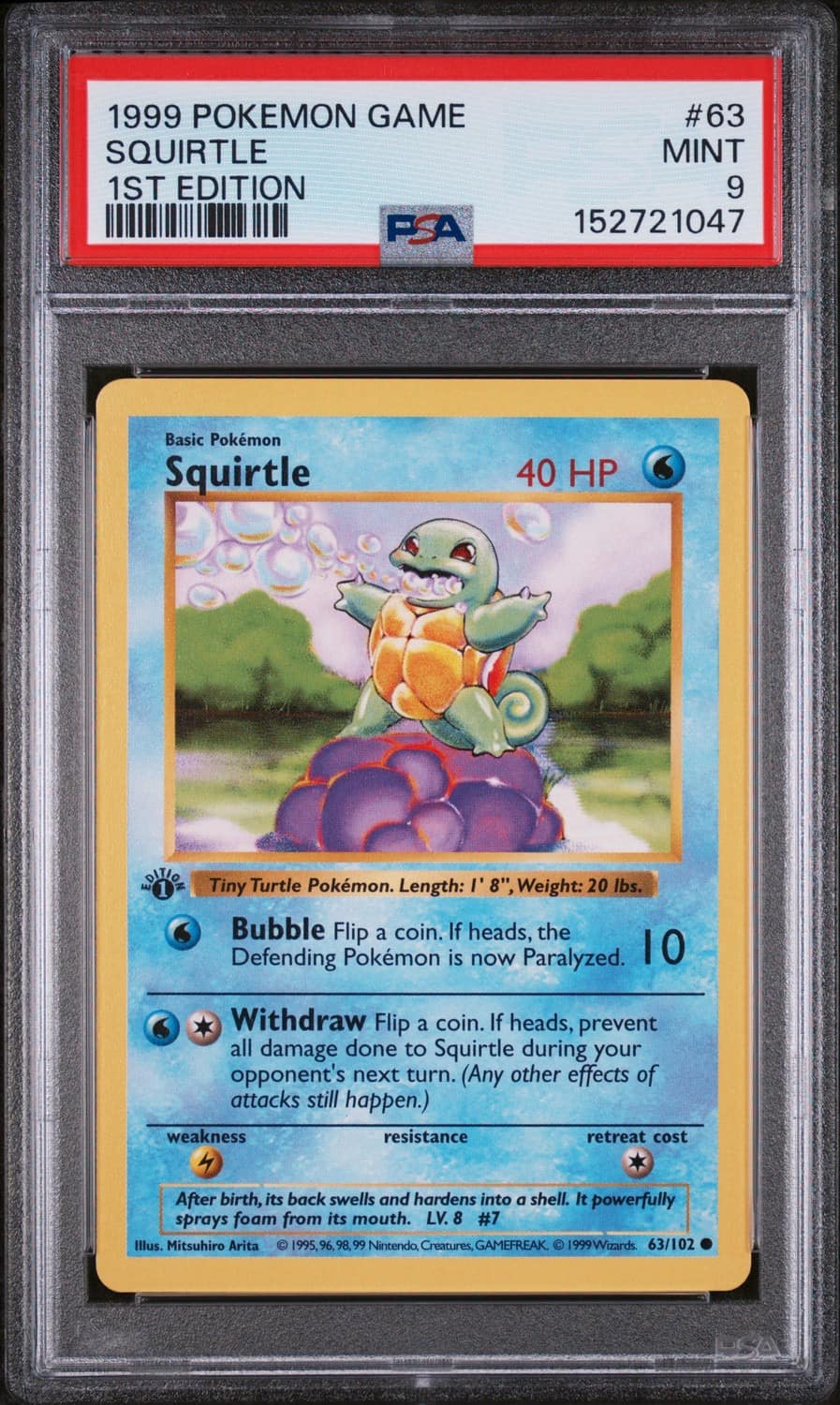 Squirtle