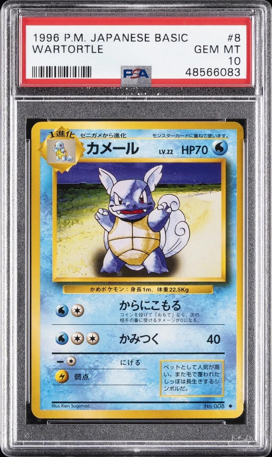 Wartortle