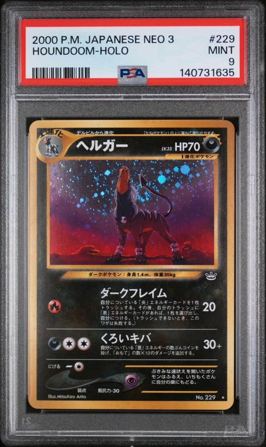Houndoom