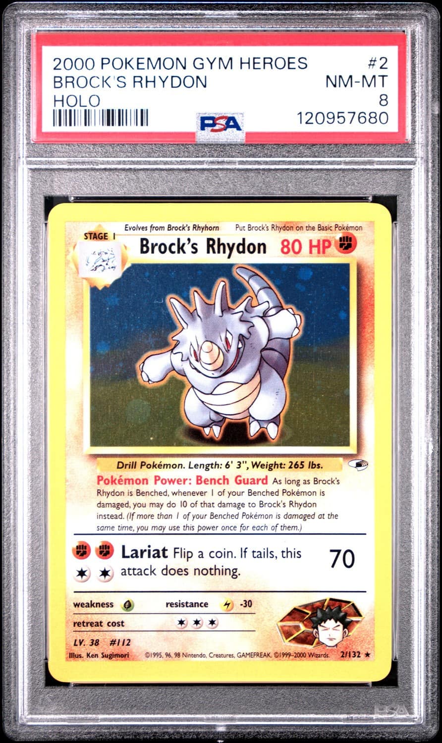 Brock'S Rhydon