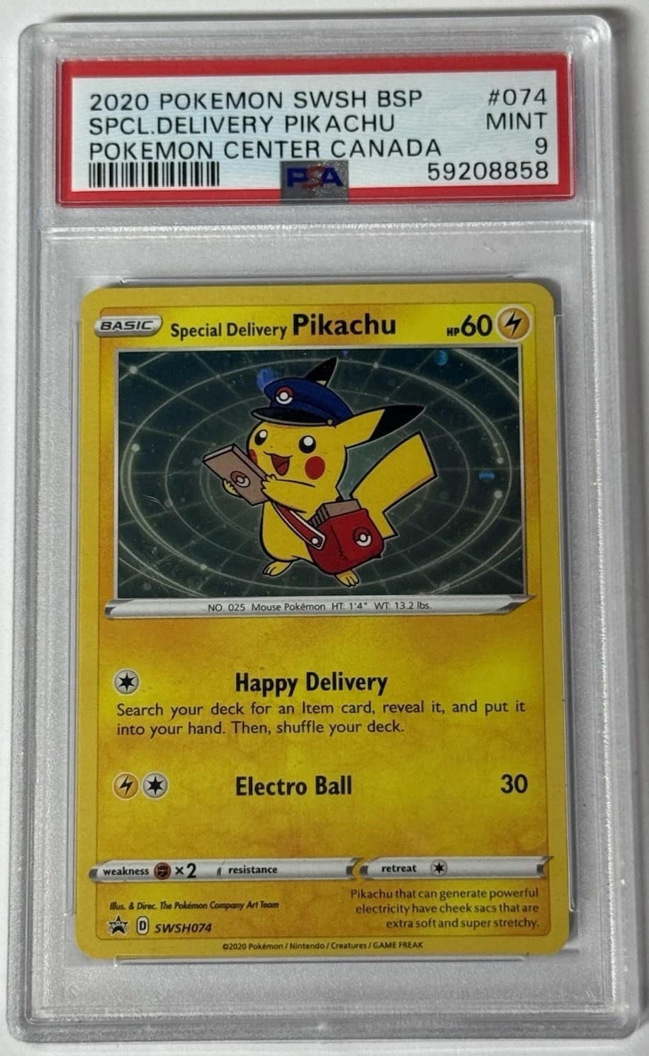 Special Delivery Pikachu