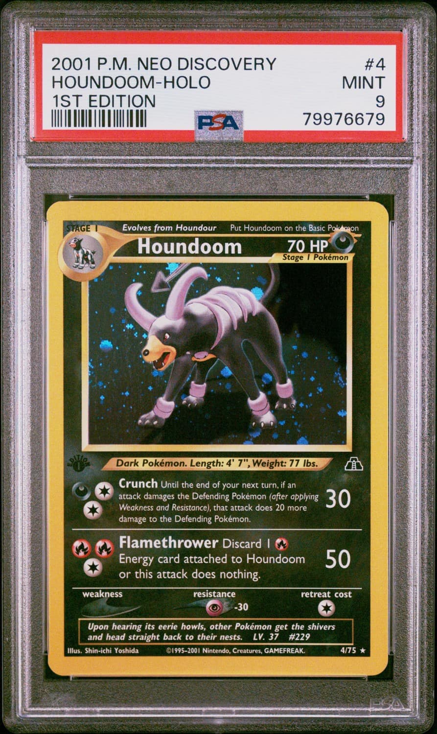 Houndoom