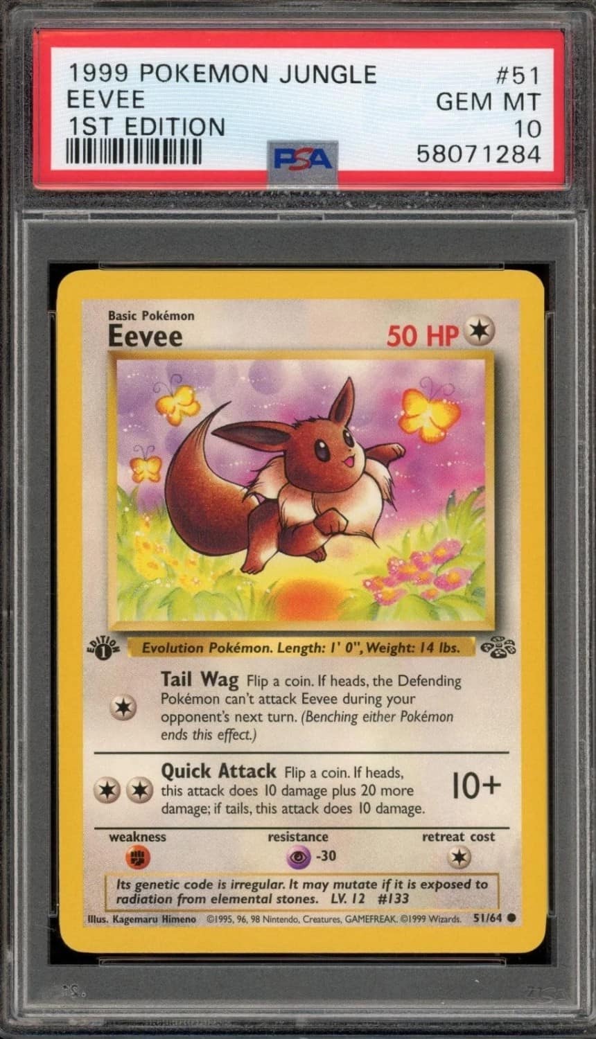 Eevee