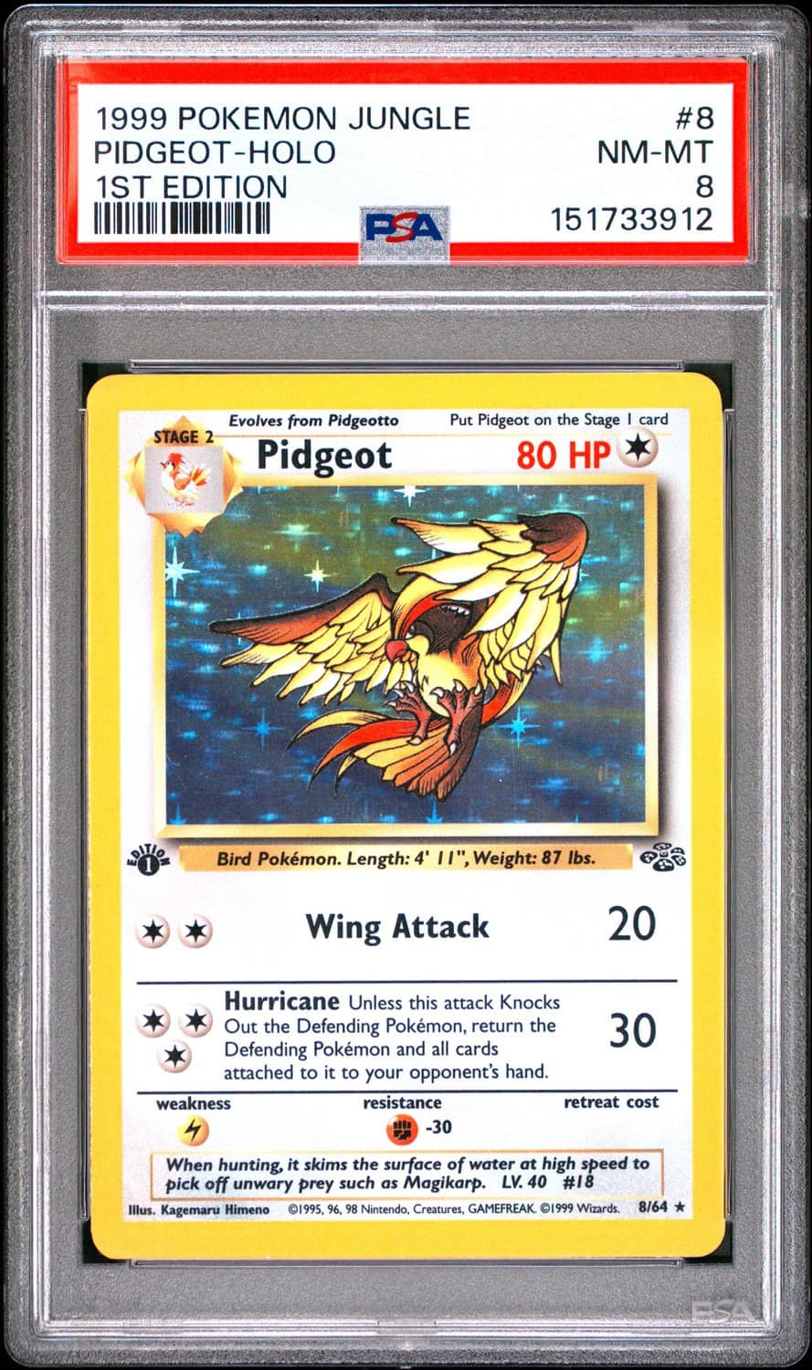 Pidgeot