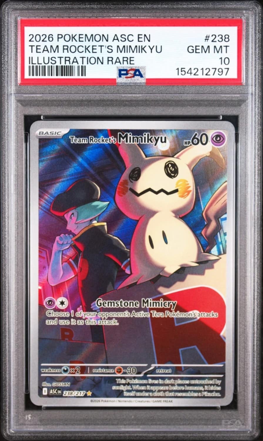 Team Rocket'S Mimikyu