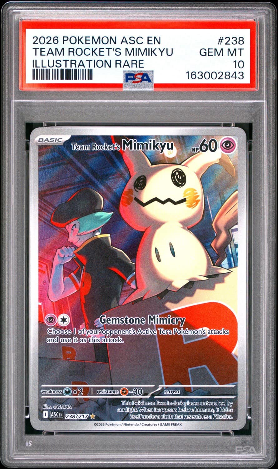Team Rocket'S Mimikyu