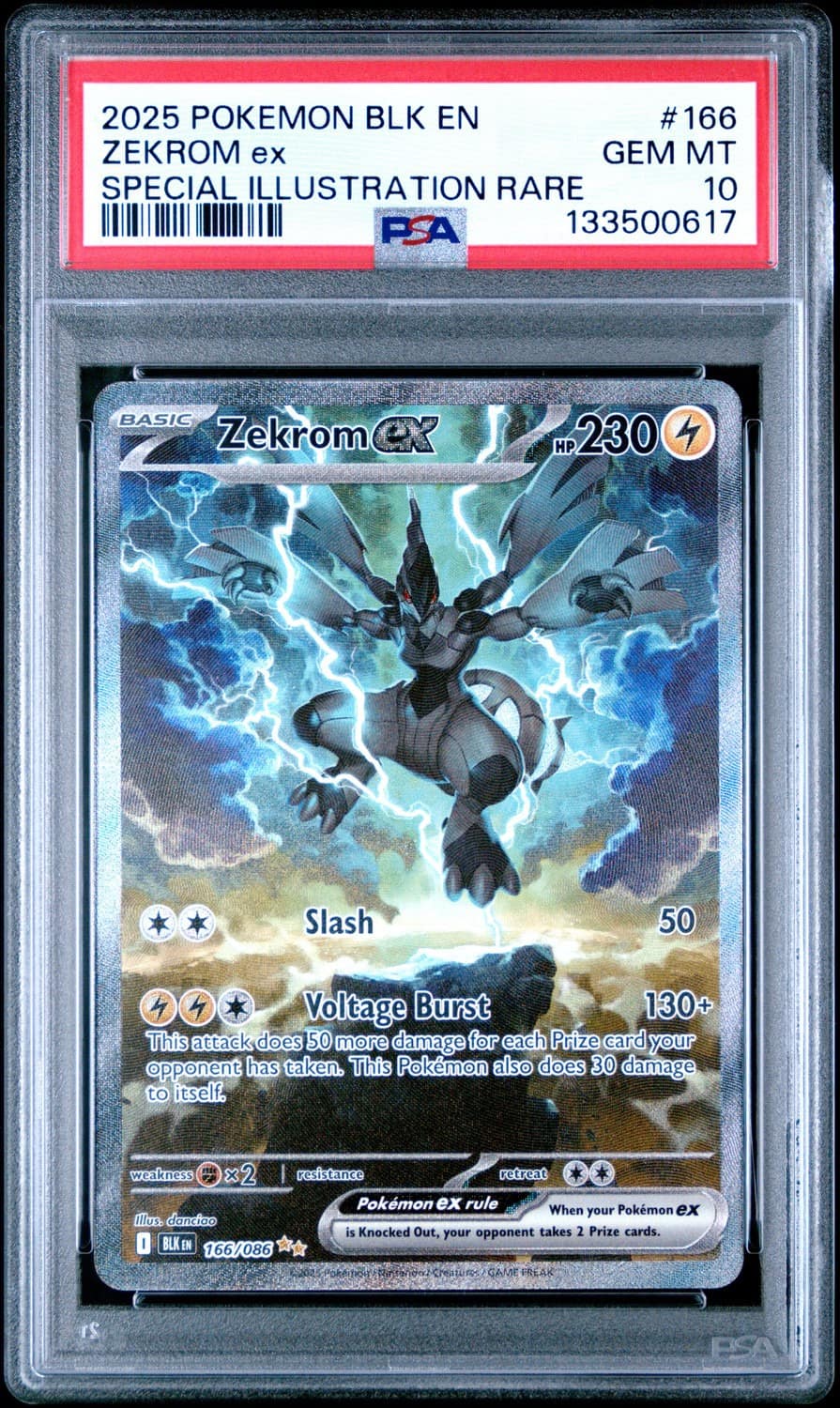 Zekrom Ex