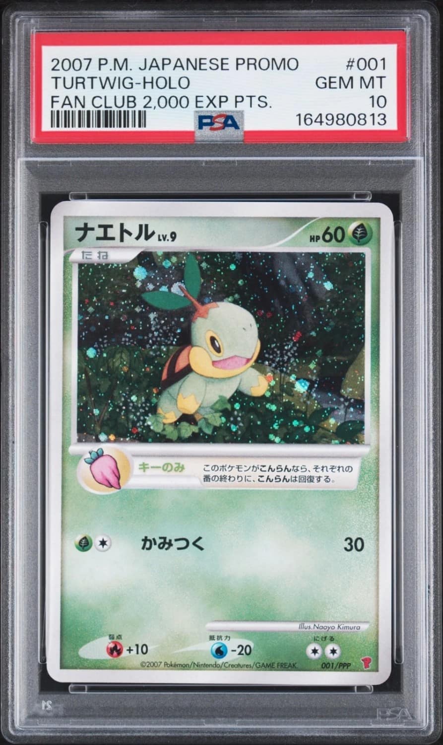 Turtwig