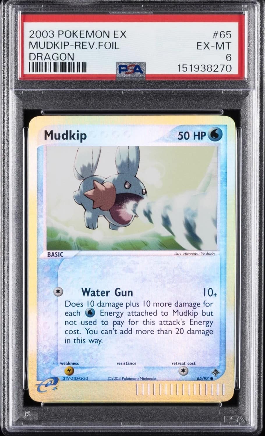 Mudkip