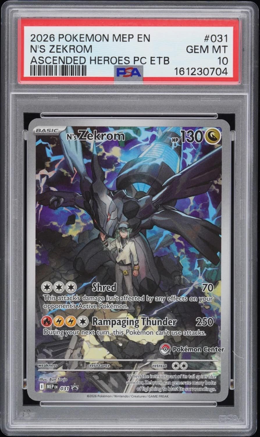 N'S Zekrom