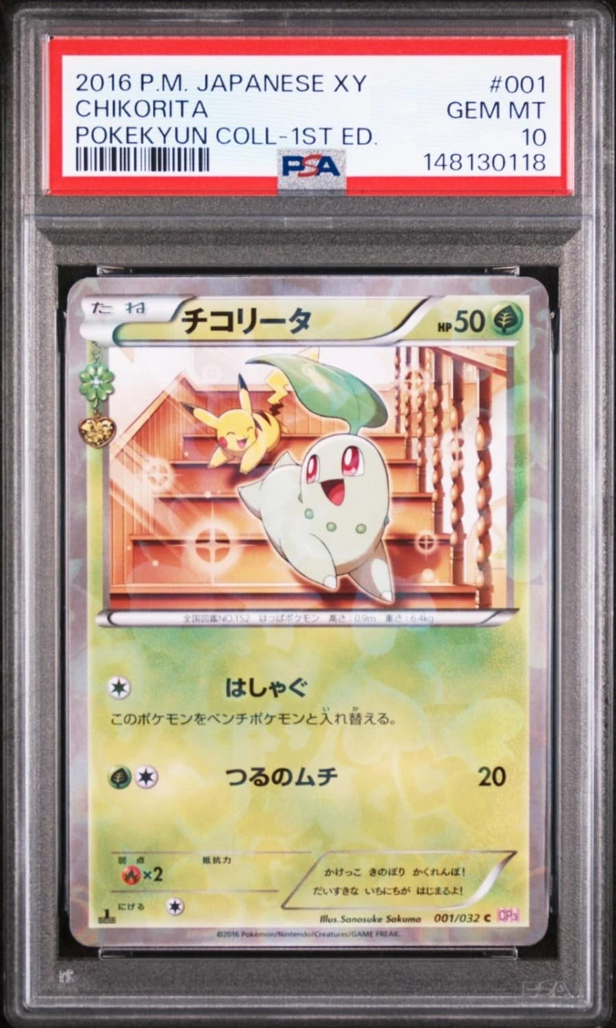 Chikorita