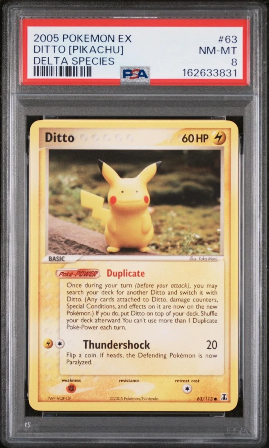 Ditto [pikachu]