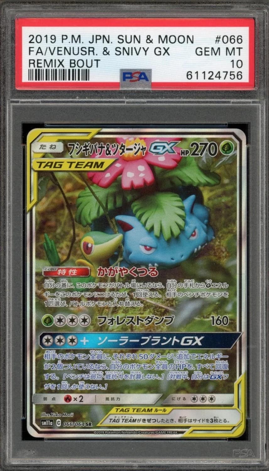 Venusaur & Snivy Gx